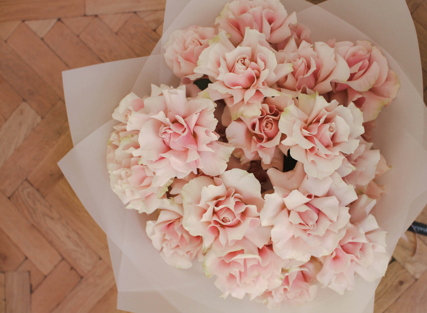 Pink Roses