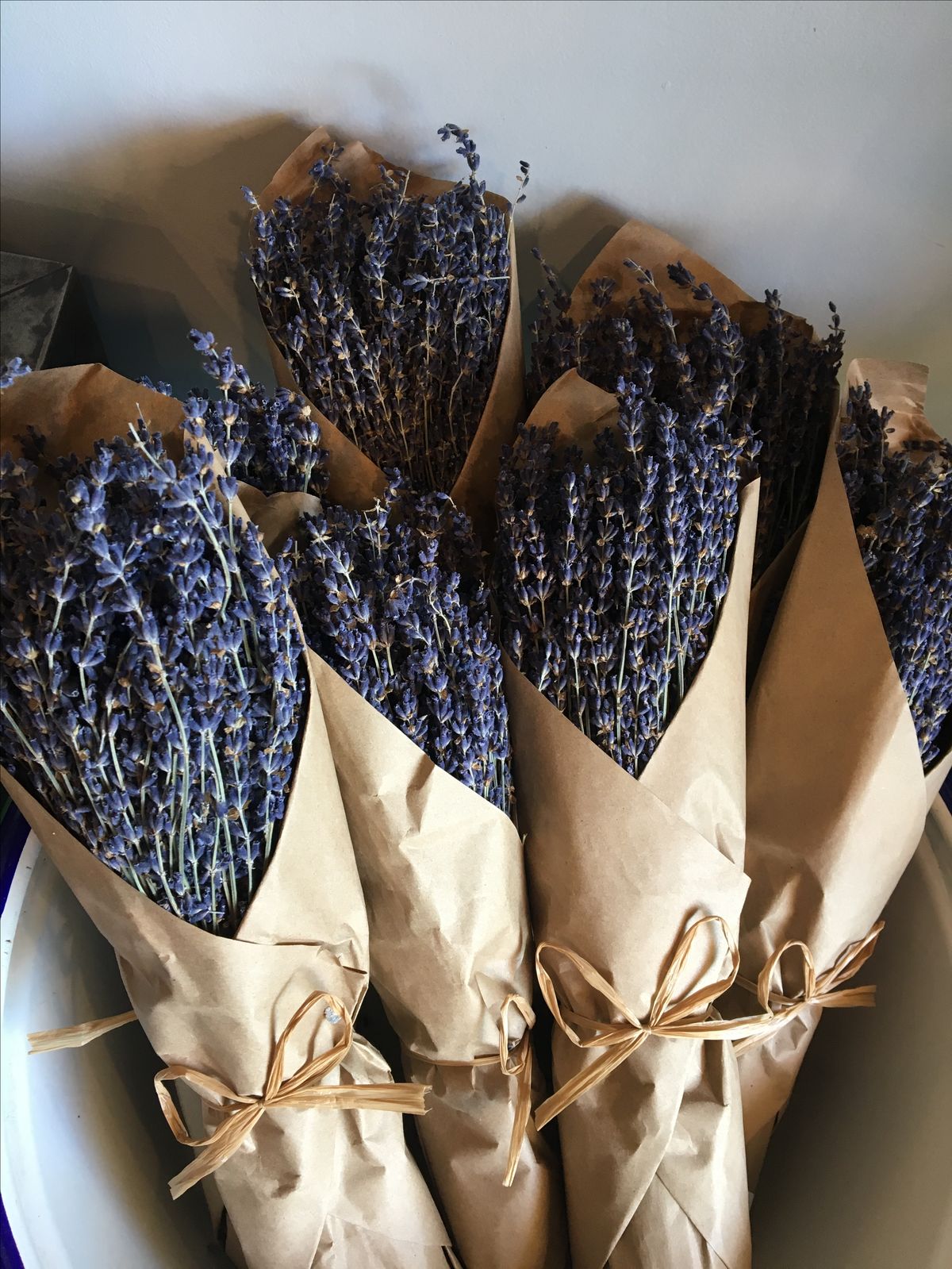 French Organic Lavender Bundle