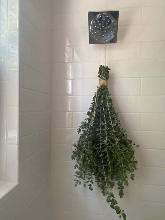 Organic Eucalyptus Shower Bundle ,  Eucalyptus Shower, Eucalyptus Shower Bundle, Eucalyptus organic grown