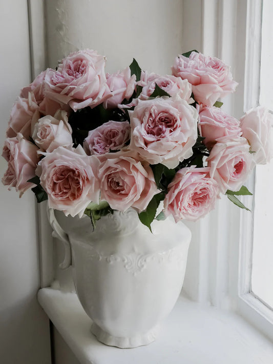 Pink Garden Rose Bouquet (12 Stems)