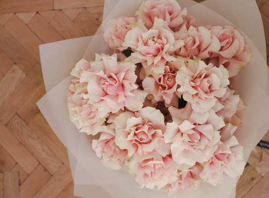 Pink Roses