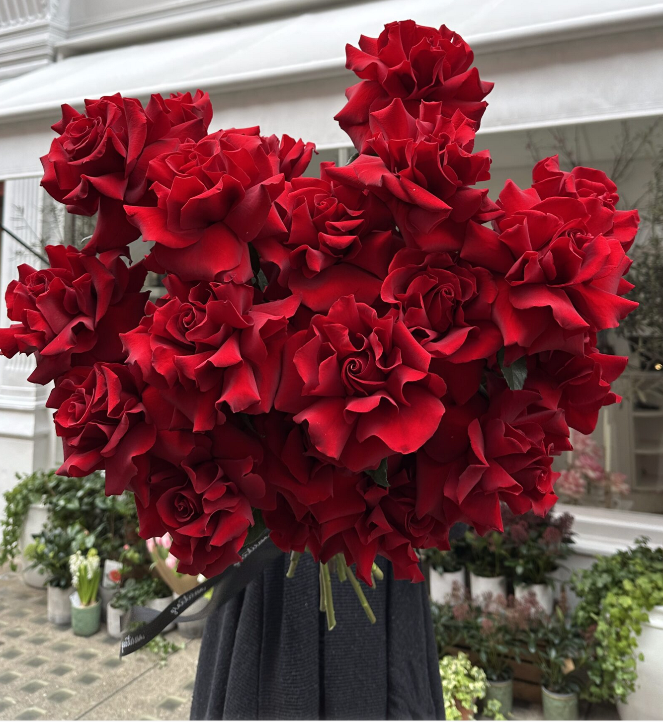 Red Roses