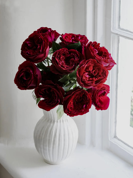 Red Garden Rose Bouquet (12 Stems)
