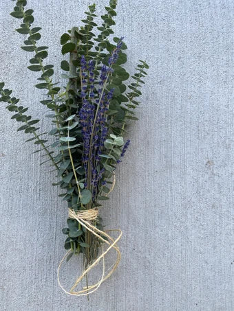 Fresh Lavender Eucalyptus Shower Bundle, Eucalyptus Plant, Eucalyptus Shower